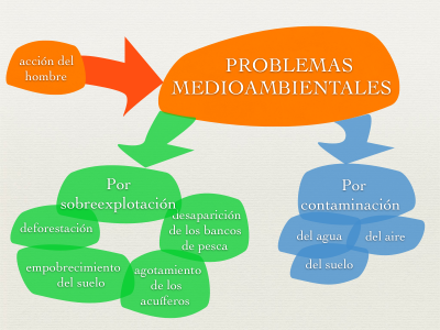 Desarrollo del informe